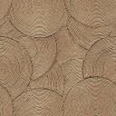 Ikke-vævet tapet 3D cirkler beige brun mat udtrækkelig 1,59 x 2,80 m ikke-vævet tapet vægmaleri