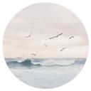 Vinilo decorativo Sisi & Seb - Mágico cielo nocturno junto al mar - Redondo