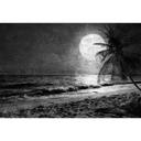 Architects Paper Papier peint photo Atelier 47 Beach at Night