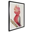 Póster Marrón - Cacatúa rosa