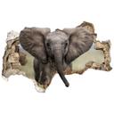 3D Wallsticker van Duijn - Babyelefant