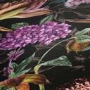 A.S. Création Dream Flowery papier peint intissé floral
