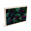 Cuadro de madera plantas coloridas de la selva - Paksoylu