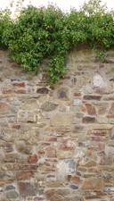 tapet stenvæg beige brun - non-woven tapet Industrial Livingwalls - mat og glat