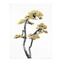 Plakat Amini - Bonsai