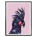 Póster Suelto - Pájaro Galaxia