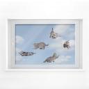 Fensterbild Real baby cats Set 01