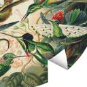 Haeckel - Colibríes - fotomural redondo - Papel pintado autoadhesivo/no tejido