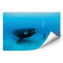 Poster autocollant - W - NG Baleine et Plongeur