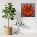 Canvasbillede, orange solsikke