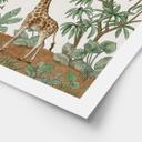Børneplakat med dyremotiv | Skjult objekt jungledyr - Kikki Belle