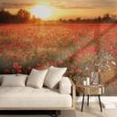 Fotomural de Campo de amapolas al atardecer