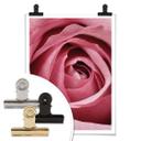 Plakat - Den rosa rose
