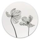 Wandcirkel Alu-Dibond Grønkjær - Tulpen