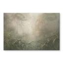 Spatscherm Mystiek regenwoud in de mist - Ms Tiff