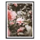 Póster Annie - Flor de rosa