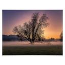 Plakat - Cuadrado - The Fog