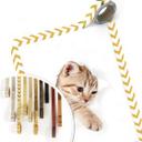 Gatito de póster en viaje de descubrimiento