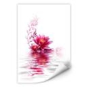 Poster autocollant - W - Magie des Fleurs
