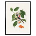 Póster Suelto - Planta de sushi