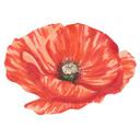 Muursticker Rode Bloem