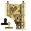Póster Marrón - Koala