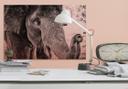 Aluminium Dibond Kopereffect - Olifant