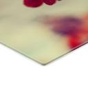 Stænkplade - Rød Solhat