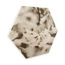 Hexagone - Bois Annie - Jasmin