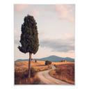 Plakat - Colombo - Cypress Path
