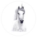 Zelfklevende Muurcirkel Korenkova - White Unicorn
