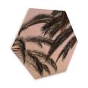 Hexagone - Bois 1X Studio - Palmiers