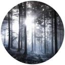 Fototapet - Rundt Solstråler i den blå skov - vliesetapet/selvklæbende non-woven tapet