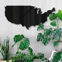 Decoración acrílica mapa EE.UU. con fronteras de los países