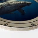 Cuadro de madera ojo de buey con óptica 3D - Ballena jorobada buceando - Redondo