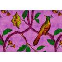 Livingwalls Fototapet Walls by Patel 2 bird of paradise 2