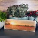 Houten Bordje Klaprozen bij Zonsondergang