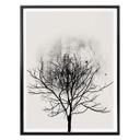 Plakat - Kubistika - Tree Study 03
