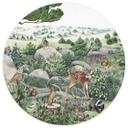 Fototapet - Rundt Kikki Belle - skovvandring - vliesetapet/selvklæbende non-woven tapet