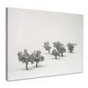 Lienzo Carrillo Lopez - Paisaje blanco con arboles