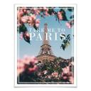 Plakat - Take me to Paris