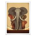 Plakat - Braun - Elephants
