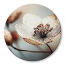 Glasbillede - Boho tørret blomst makro | Blomster fotokunst - Treechild - Rund