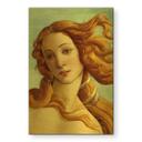 Geborsteld Alu-Dibond met goud-, zilver- & kopereffect - Portret van Venus - Botticelli
