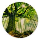 Cuadro de madera Kiciak - Bosque de cuento - Redondo