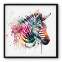Plakat Heine - Rainbow Zebra
