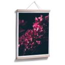 Póster Sueño Flor Rosa 01