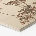 Hexagone - Bois Herbes sauvages
