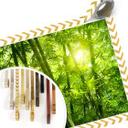 Poster - Rayon de soleil dans la forêt de bambous