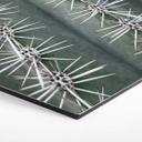 Hexagone - alu-Dibond 1X Studio - Cactus